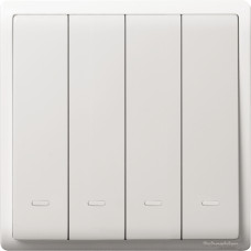 10AX 250V 4G 1W SW W FLUO LOC, WE